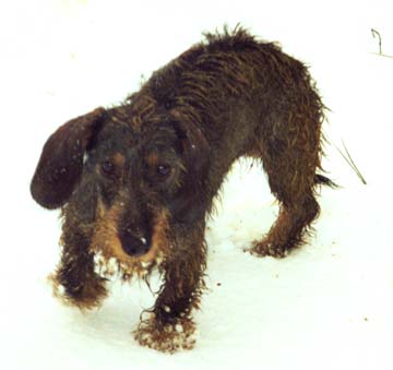 Ob Sch&uuml;tteln hilft?