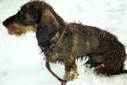 Der n&auml;chste Job?