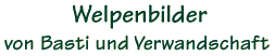 Welpenbilder von Basti und Verwandtschaft